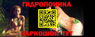 прущие грибы Камышлов