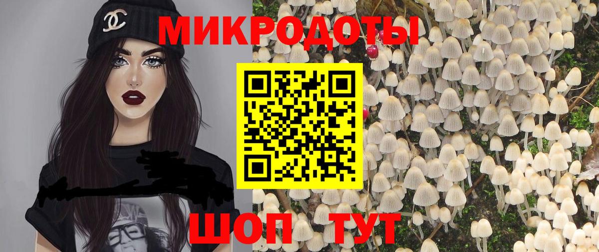 Псилоцибиновые грибы Cubensis Иркутск